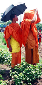 The festival is also popular with monks
